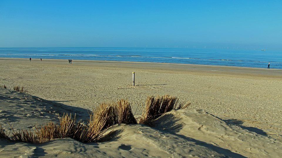De Blaauboer, Vakantiehuisje Егмонд-ан-Зе Екстер'єр фото