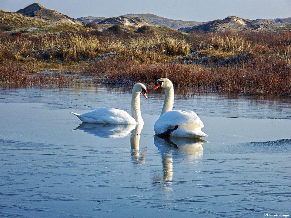 De Blaauboer, Vakantiehuisje Егмонд-ан-Зе Екстер'єр фото